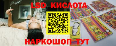 шишки Славгород
