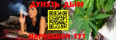 шишки Славгород
