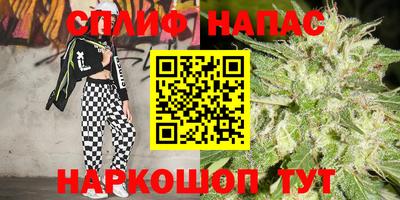 шишки Славгород